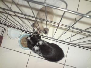 its-ok-ure-home-now-small