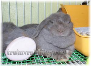 I know I know, this is the ultimate disapproval face - EVER!