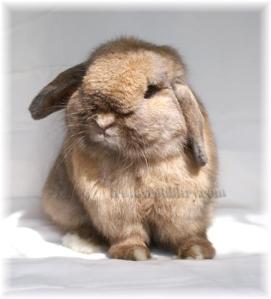 Isn't he a cutie pie?