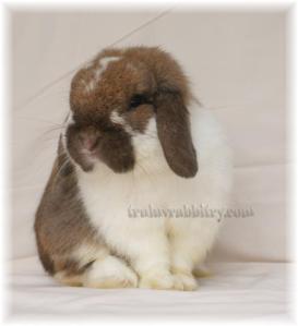 I love it when he pose like that