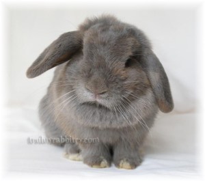 dsc02855 A little thickness