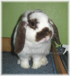 I'm gonna miss you loads Noobie Baby! Now go make us proud and be good always!