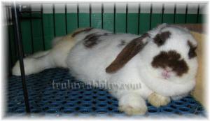 Her favorite chilling position