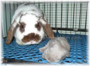 Another memorable moment