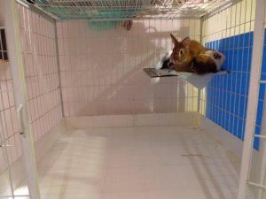 Mommy, not even a speck okie?