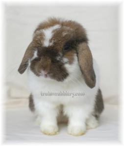 Listening intently...to the sounds of the camera clicks