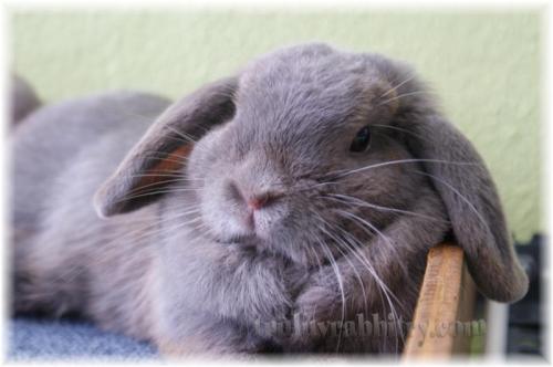 Chilling on a Sunday morning