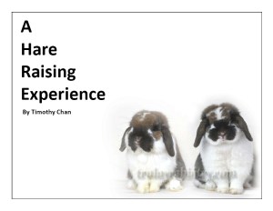 AHareRaisingExperience