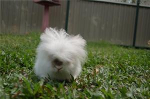 A garden to play in!