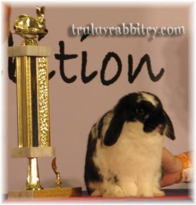 Glad he poses naturally...