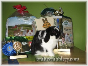 Enough posing already!