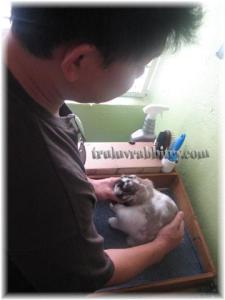 IMG_2928 Keat checking out Muffet