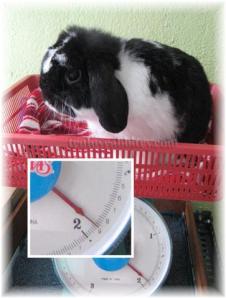 That's 1.9 kg. What a relief!