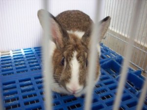 5893_128965119720_684789720_2182243_151754_n