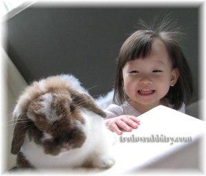 She's always happy to have a bunny around...