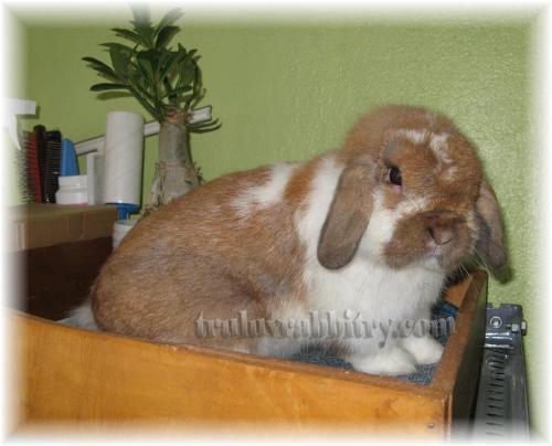 Miller's Clark being cheeky!