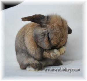 Praying to hold a good pose?