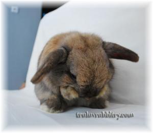 He sometimes shy away from the camera covering his face with his "hands"?