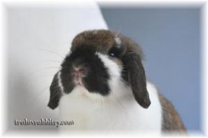 Haley up to mischieves