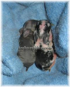 Praying for a bright future for the both of them!