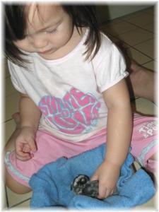 IMG_5052 Gotta start them young. Was cleaning up her mess while she sneaked into the kitchen to play with the kits...