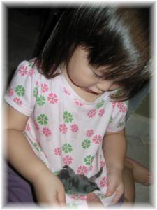 I learned this trick from Alicia of Pet Epicure on how to teach young children to hold small animals