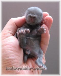 I am loving the color!