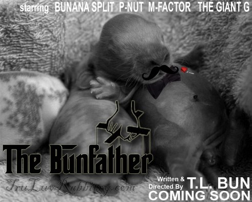 TheBunfatherBanner
