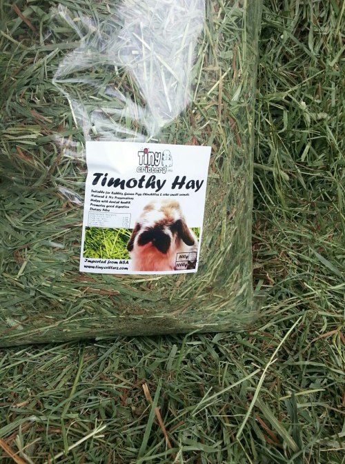TCTimothyHay