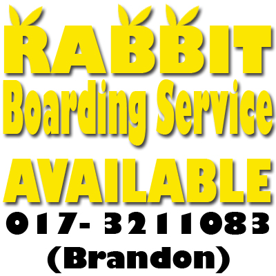 RabbitBoarding