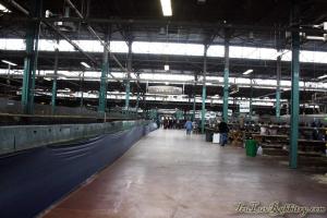 A very busy and full Open section on Saturday.