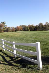 My favorite white fences.