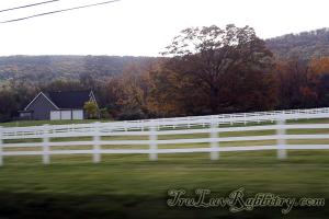 The many farm houses.