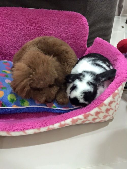 I guess this is what they call true love?