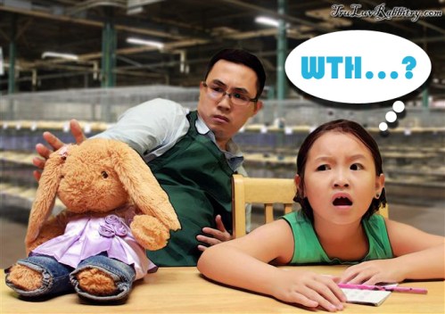 JudgeDisclaimer (Small)