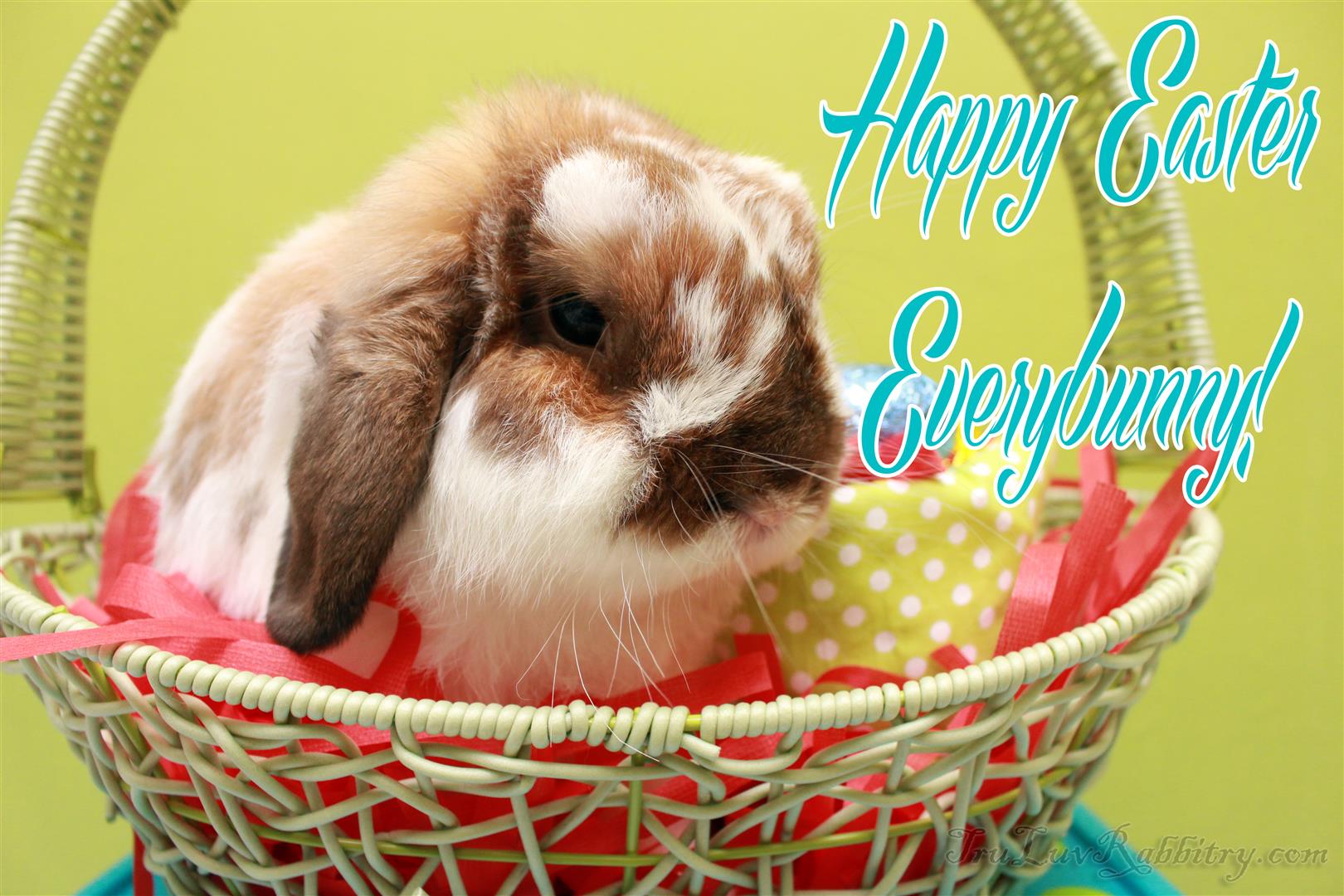 Happy Easter!