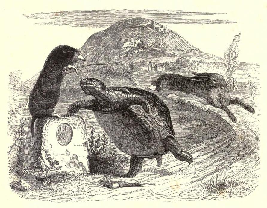 A 19th-century illustration of La Fontaine's Fables by Jean Grandville (via wikipedia.org)